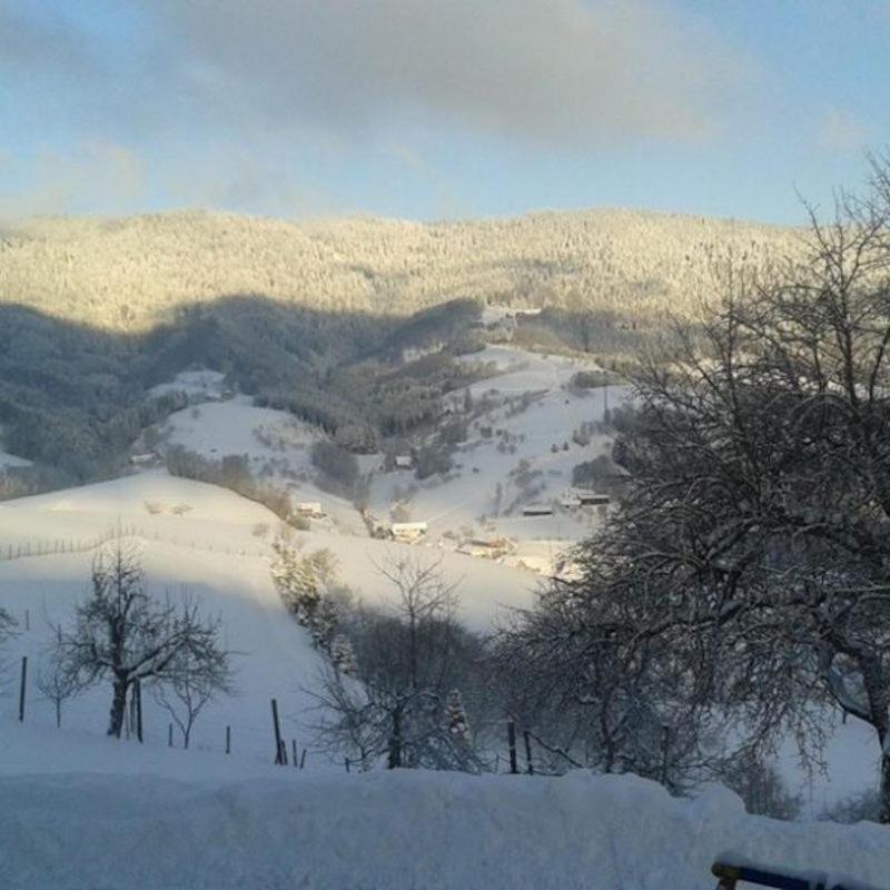 Ferienwohnung Brandenkopf Oberharmersbach Luaran gambar